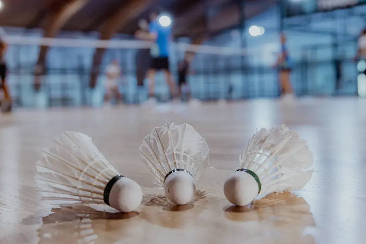 Badminton igrišče v športni dvorani Harmonija