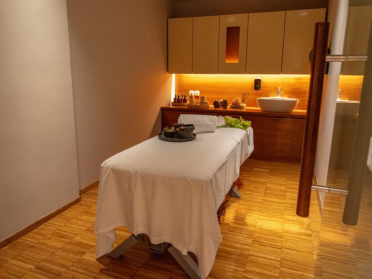 Profesionalna masaža v wellness centru Harmonija Mengeš