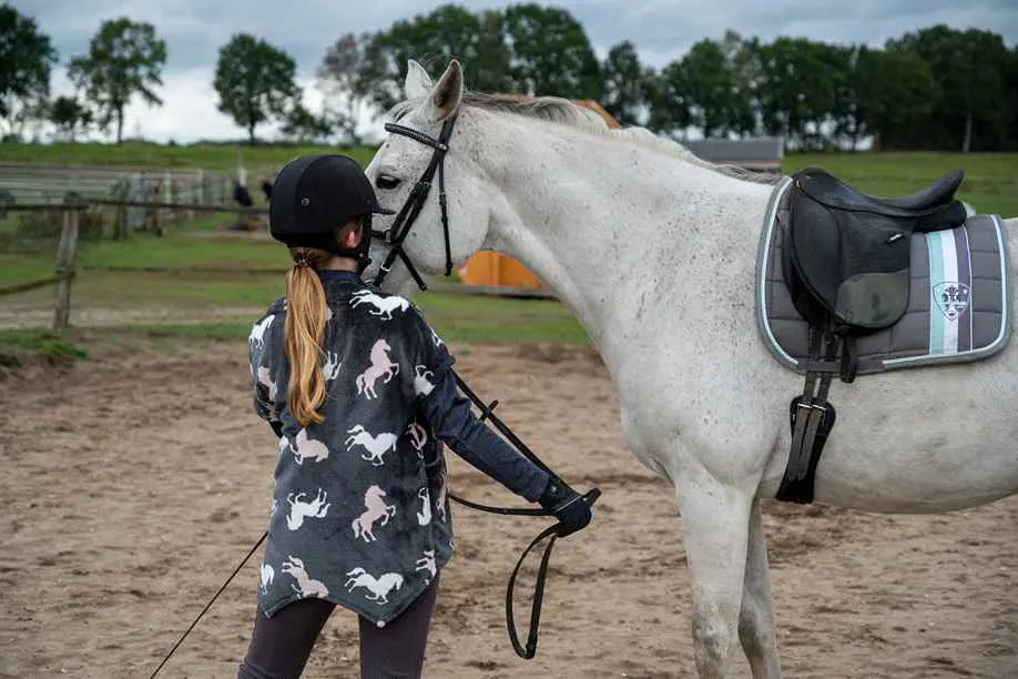 Ranch & Horses – horse riding experiences